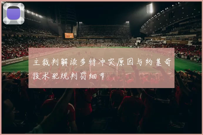 主裁判解读多特冲突原因与约基奇技术犯规判罚细节